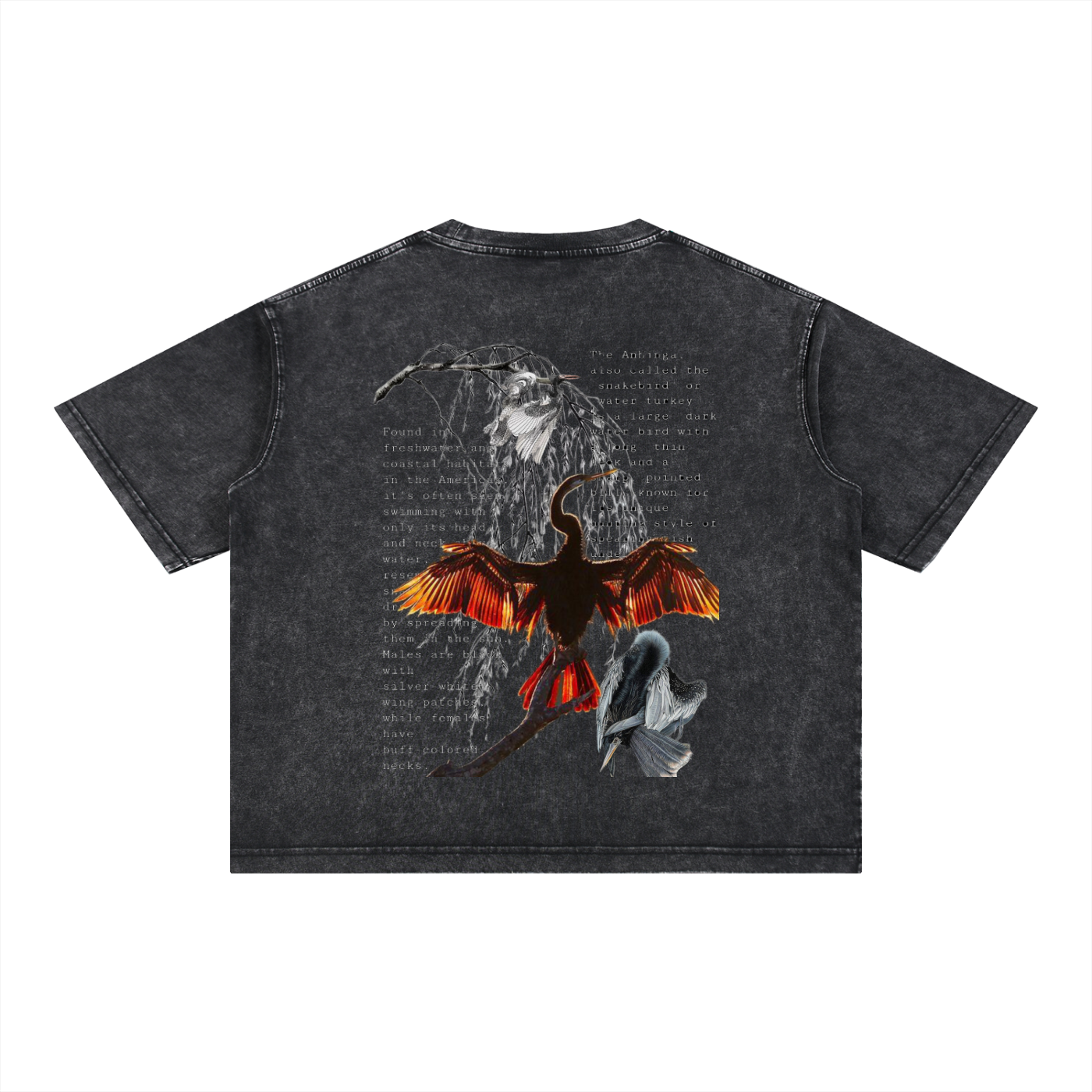 Mineral Wash Boxy Cotton T-Shirt